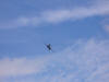 B-1B Lancer