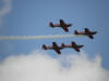 Royal Jordanian Falcons