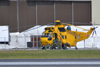 Sea King