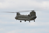 Chinook