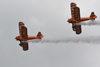 Breitling Wingwalkers