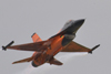 F-16AM Fighting Falcon