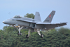 F/A-18 Hornet