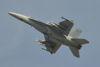 F/A-18F Super Hornet